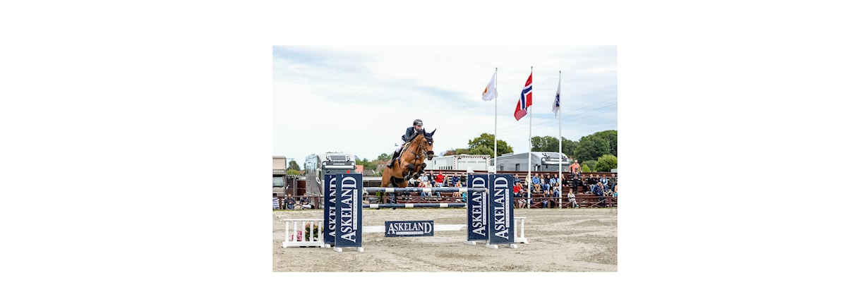 D/L sprang ponni & hest